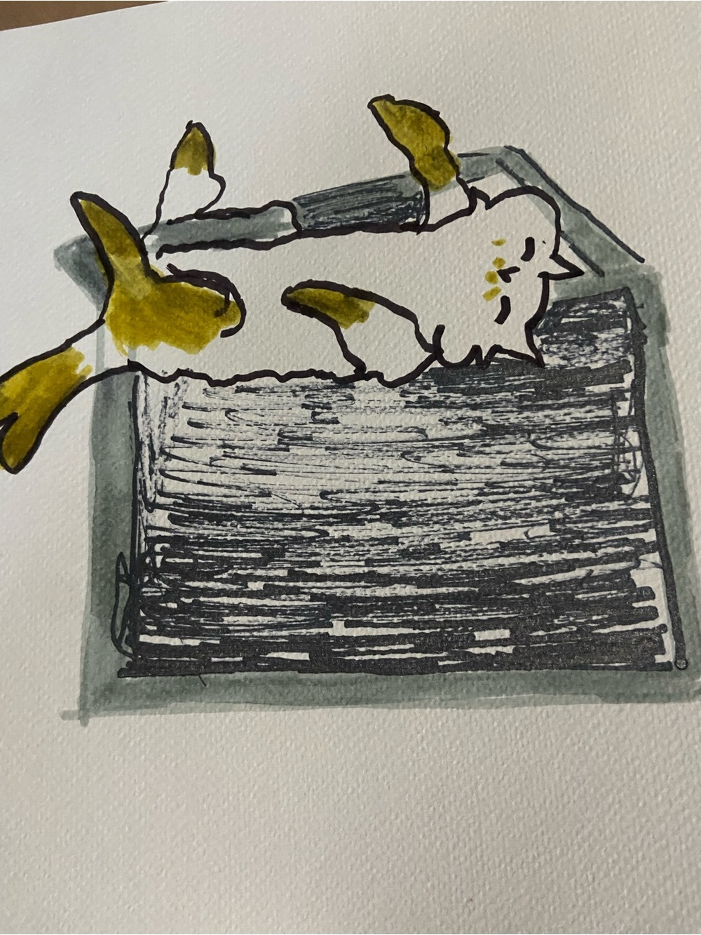 Hand-Drawn Cat Illustration Print in Olive and Charcoal
